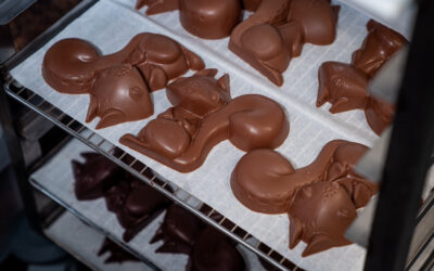 Offrez des chocolats de Saint-Valentin à Vaux : un cadeau artisanale signé Maison Carabin